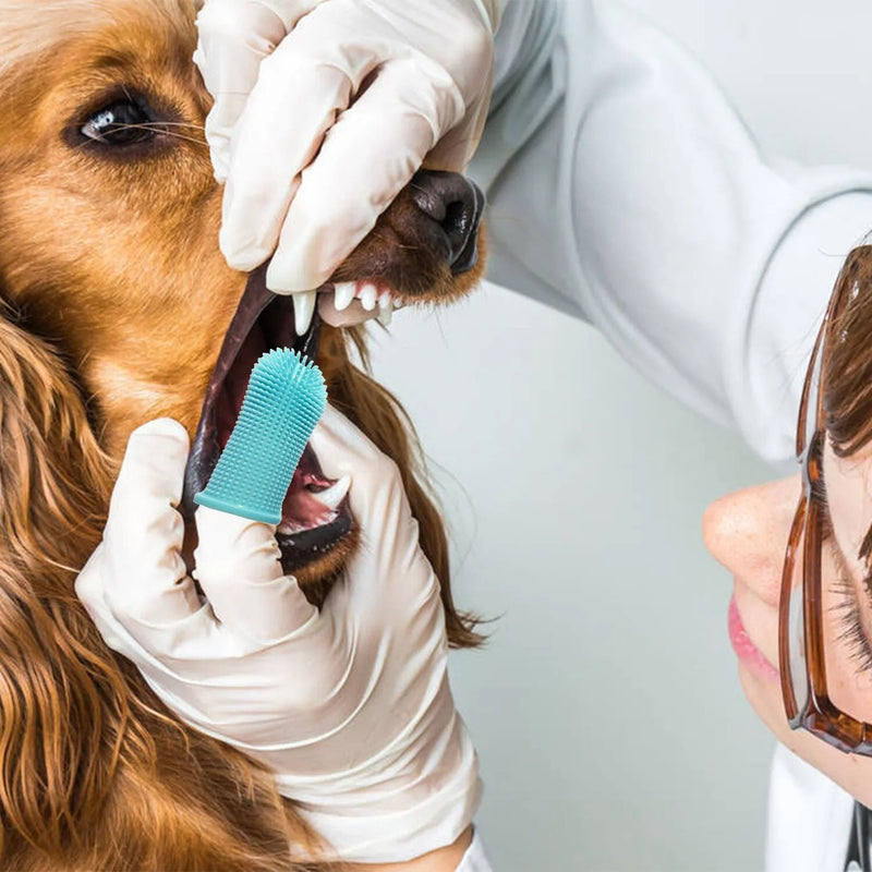 Escova De Dentes De Silicone Não Tóxica Para Pets